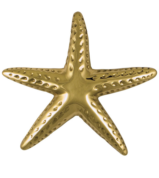Polished Brass Premium Starfish Door Knocker