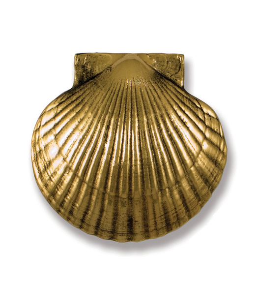 Brass Sea Scallop Premium Door Knocker