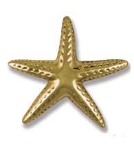 4-3/4 Inch Polished Brass Starfish Door Knocker, Michael Healy MHS141