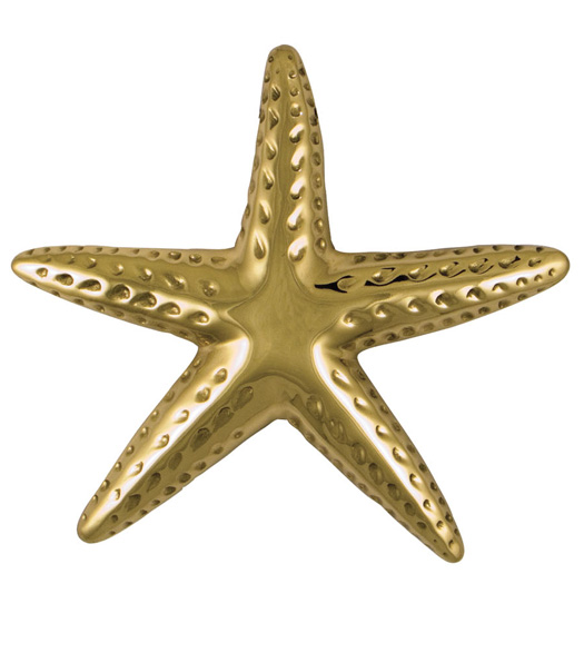 Polished Brass Standard Starfish Door Knocker