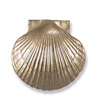Bay Scallop Door Knocker in Silver Nickel, Michael Healy MHS32