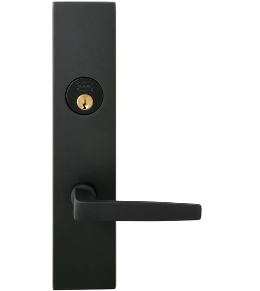 Modern Chic Mortise Entryset