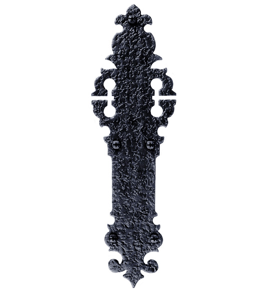 12 Inch Warwick Push Plate
